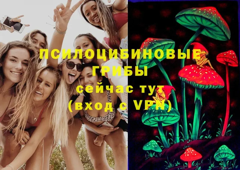 Галлюциногенные грибы MAGIC MUSHROOMS  Артёмовск 