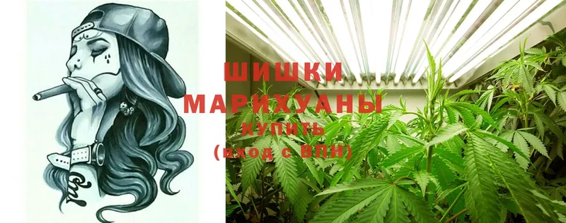 Бошки марихуана LSD WEED  где найти наркотики  Артёмовск 